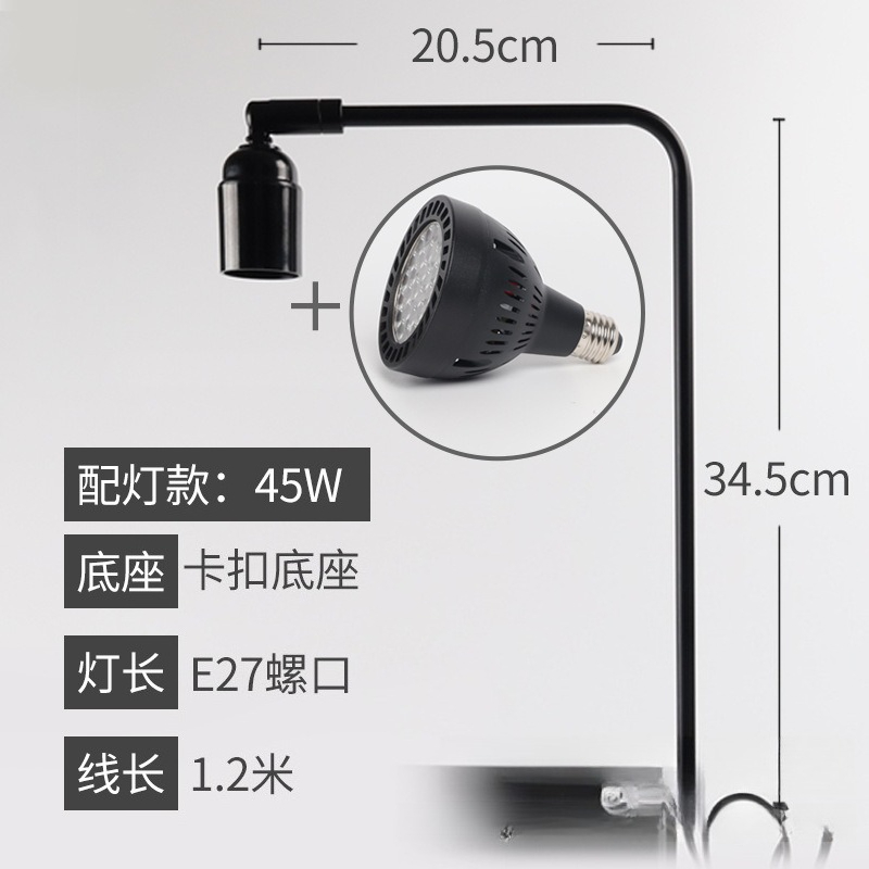 Planted Aquarium With Fish - LED fish tank light stand aquatic