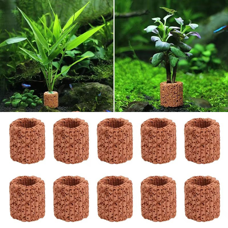Aquarium Plant Live - Aquatic Plant Fixed Ring for Aquarium