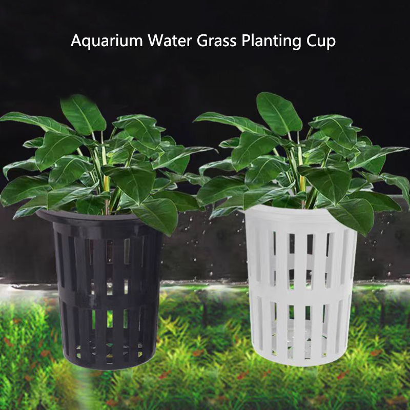 Aquarium Plant Live - 1/3Pcs Aquarium Plant Basket Wall-Mounted Hydroponic