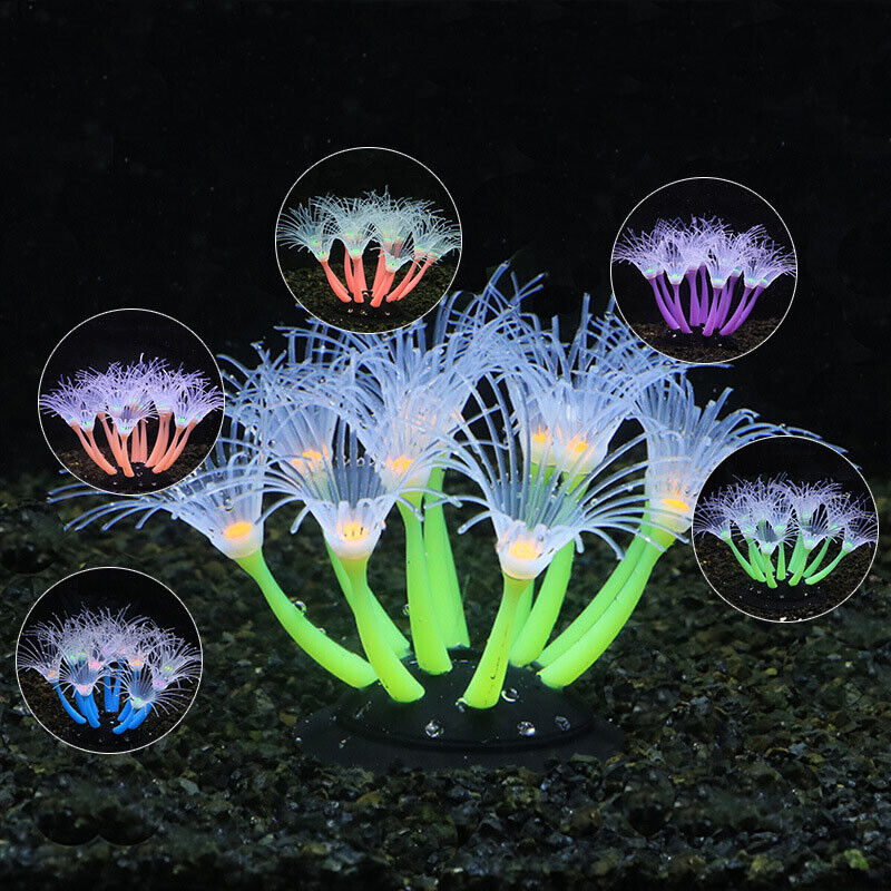 Silicone Glowing Landscape Art - Aquarium Plant Live recension och pris