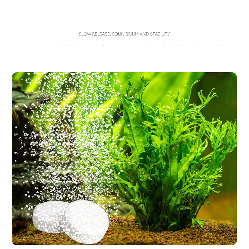 ISTA  Fish Tank Aquarium CO2 T - Planted Aquarium Without Co2 recension och pris