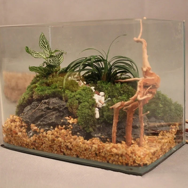 Natural Tree Trunk Driftwood A - Aquarium Plant Live recension och pris