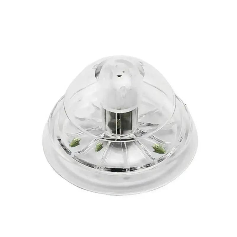 2026 New 6/8CM Clear Plastic S - Planted Aquarium With Fish recension och pris