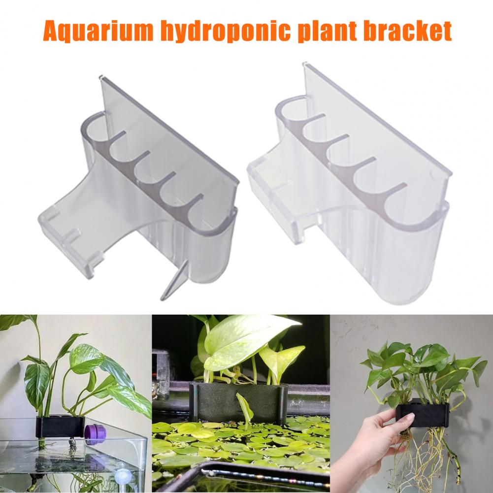 4.5/6.5cm Aquarium Plant Holde - Planted Aquarium With Fish recension och pris