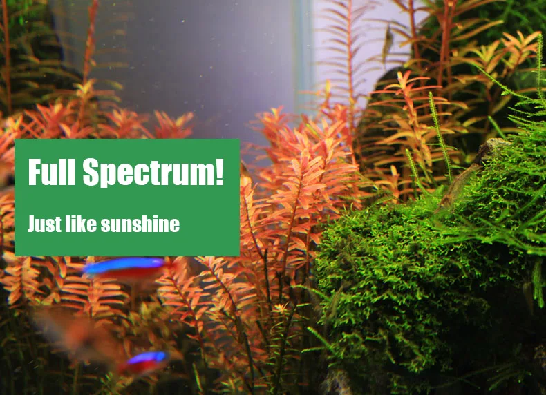 Chihiros C Series ADA Style Pl - Aquarium Plant Growing recension och pris