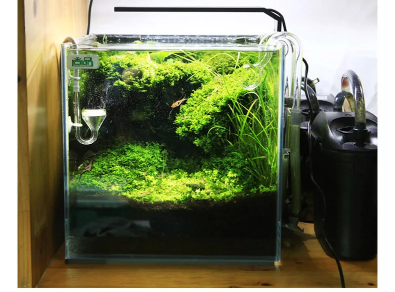 Chihiros C Series ADA Style Pl - Aquarium Plant Growing recension och pris
