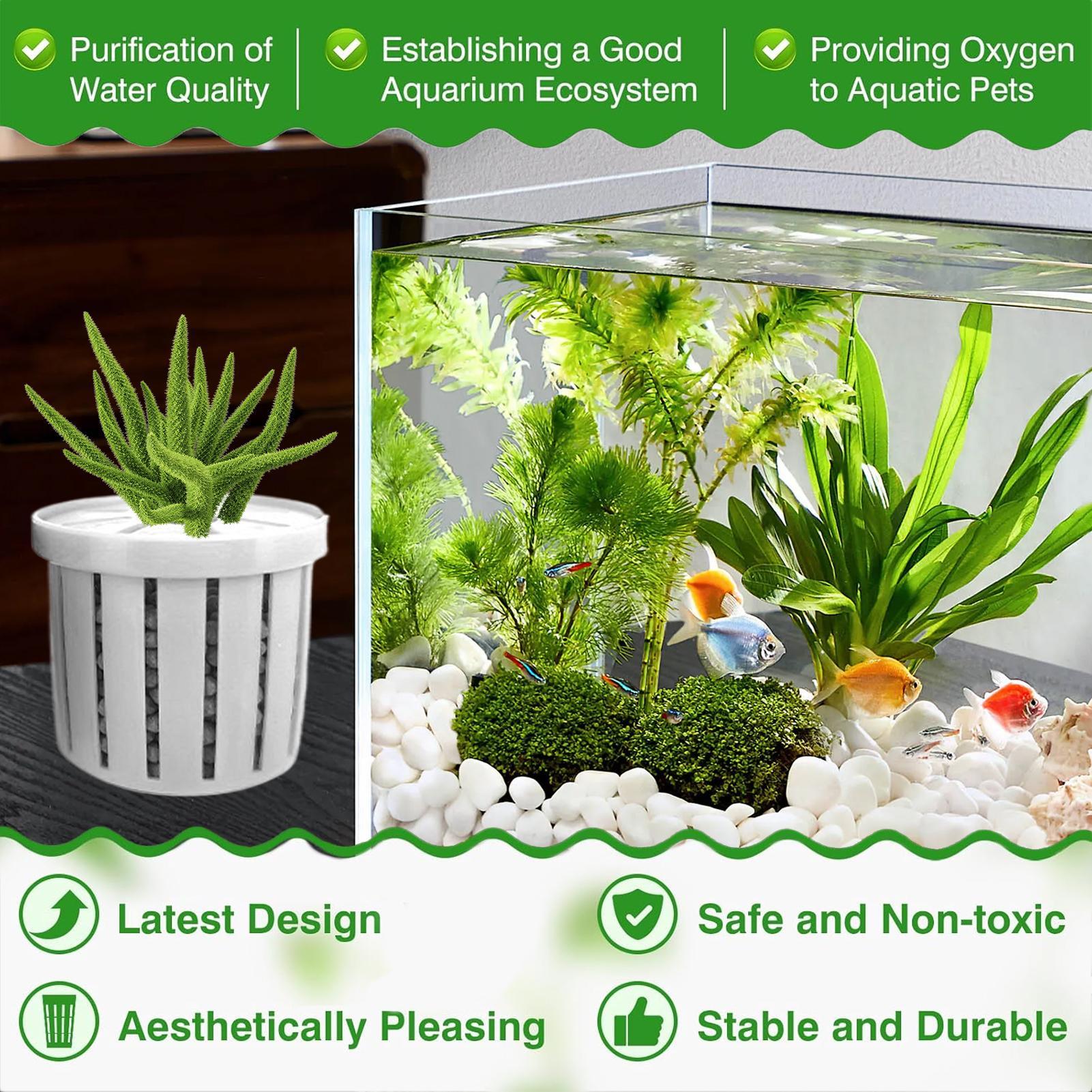 4 Pieces Aquarium Planter Pot  - Aquarium Plant Live recension och pris