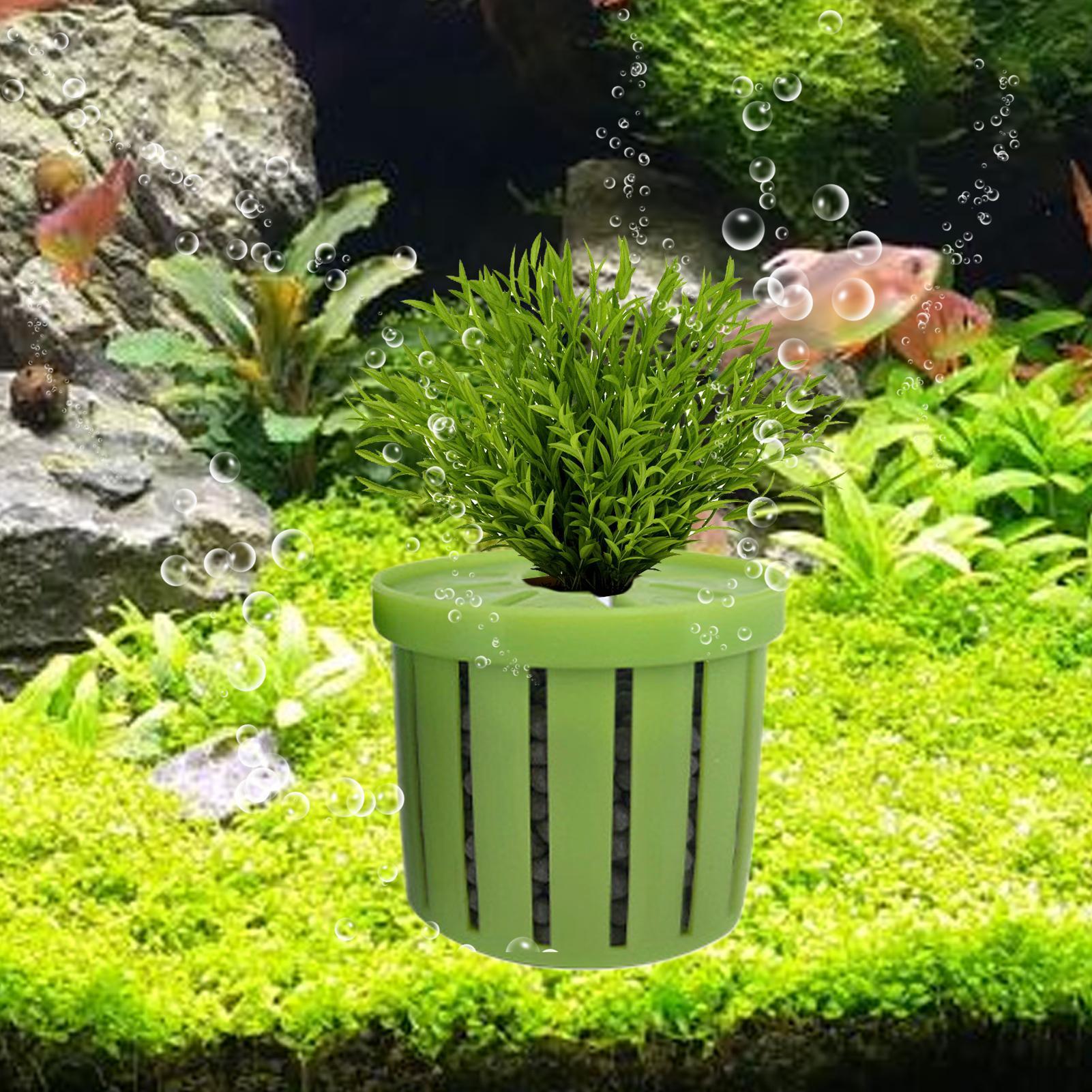4 Pieces Aquarium Planter Pot  - Aquarium Plant Live recension och pris