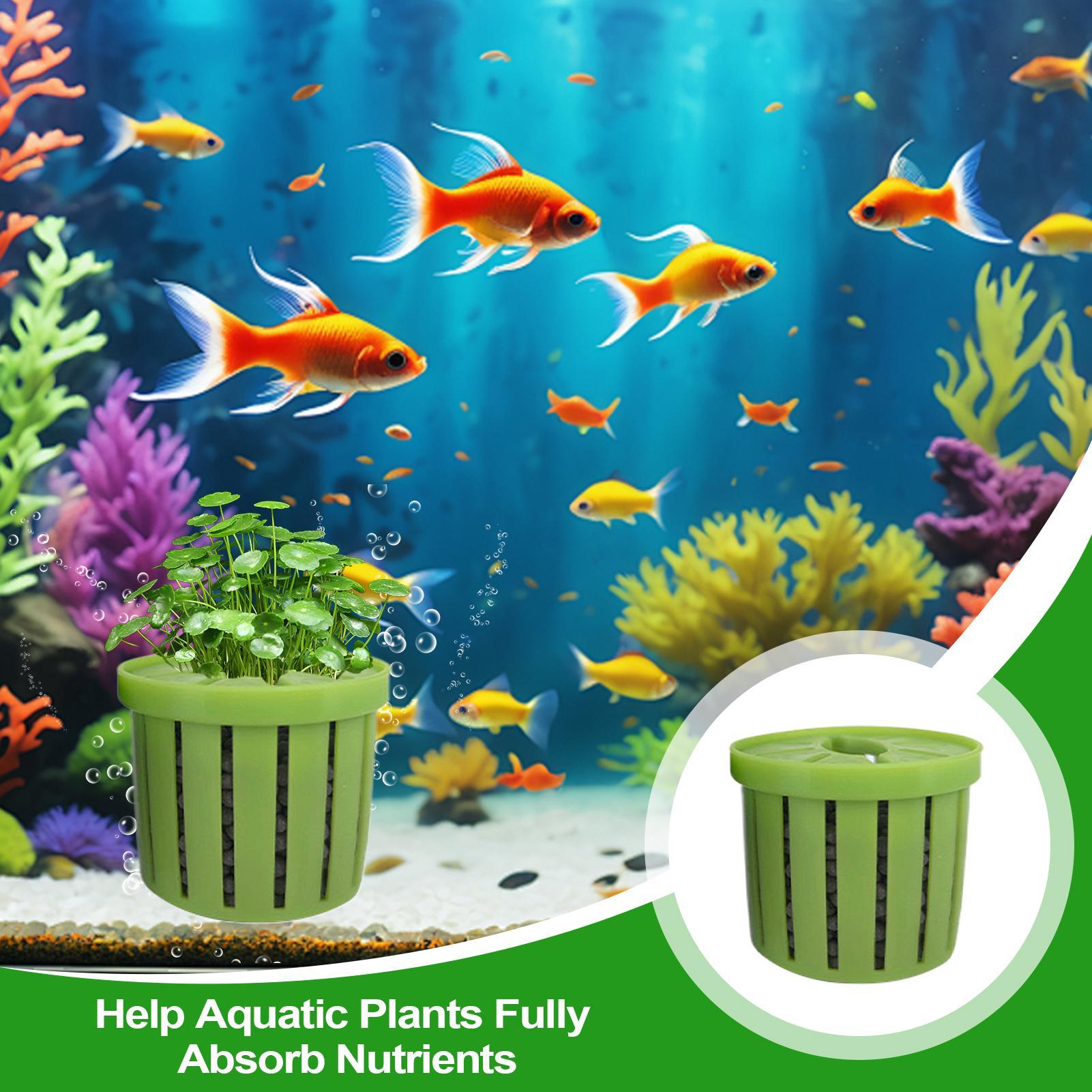 4 Pieces Aquarium Planter Pot  - Aquarium Plant Live recension och pris