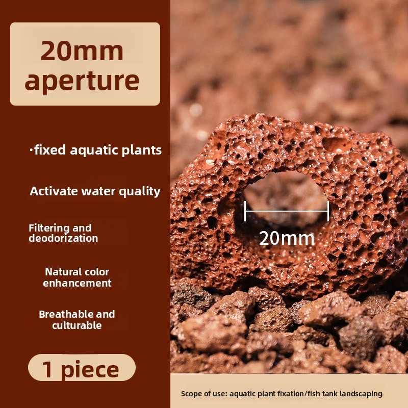 Red Lava Rock Planting Ring –  - Planted Aquarium Carpet Plant recension och pris