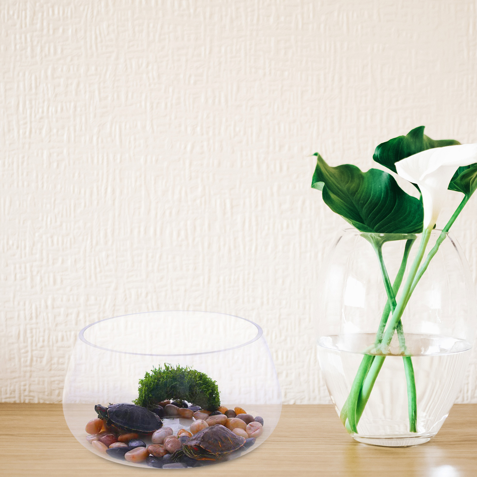 Round Clear Glass Mini Aquariu - Aquarium Planted Shop recension och pris