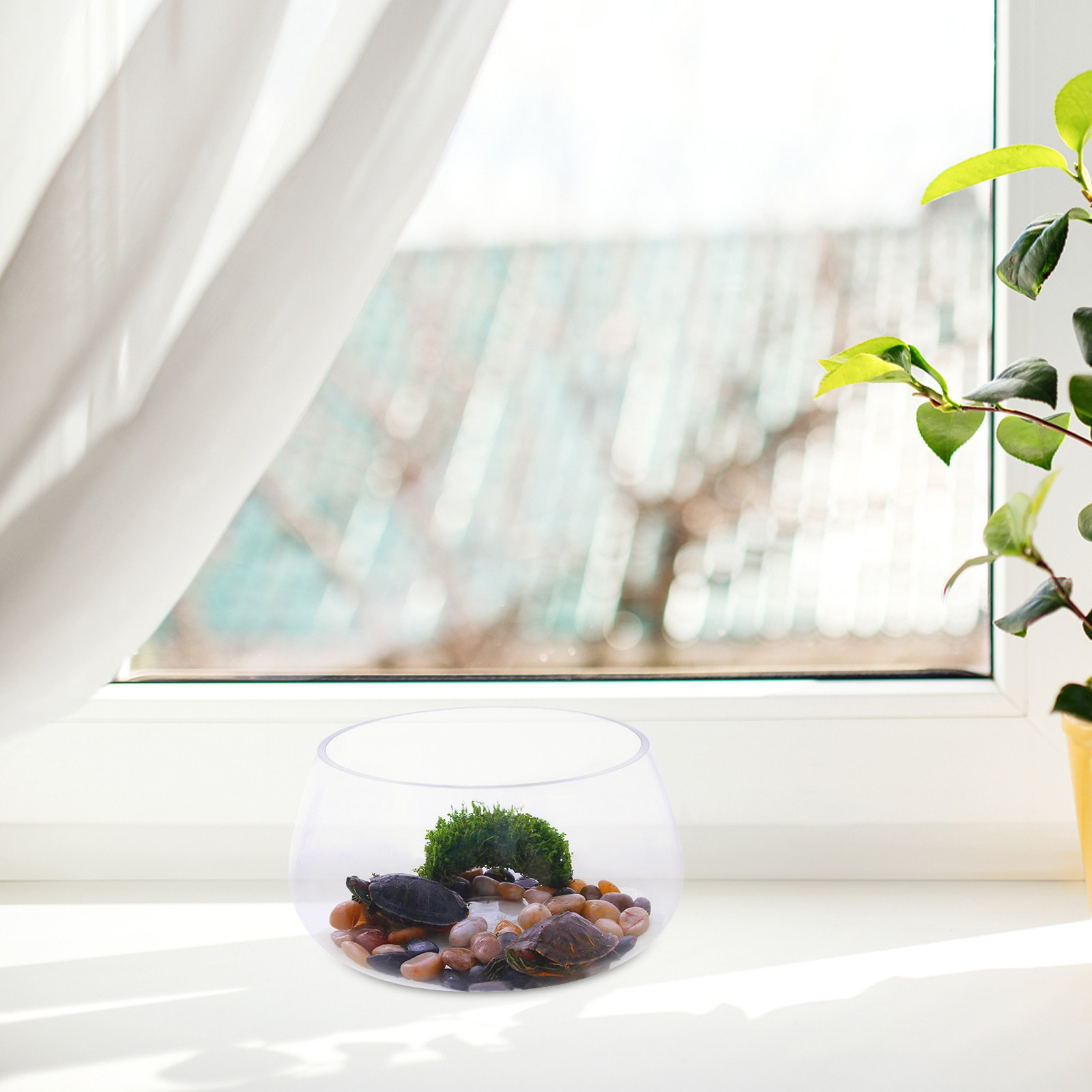 Round Clear Glass Mini Aquariu - Aquarium Planted Shop recension och pris