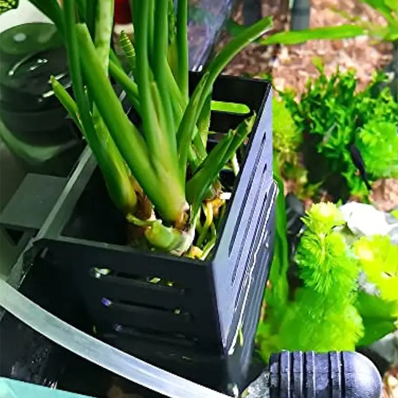 Pet Fish Tank Decorations Aqua - Aquarium Plant Live recension och pris