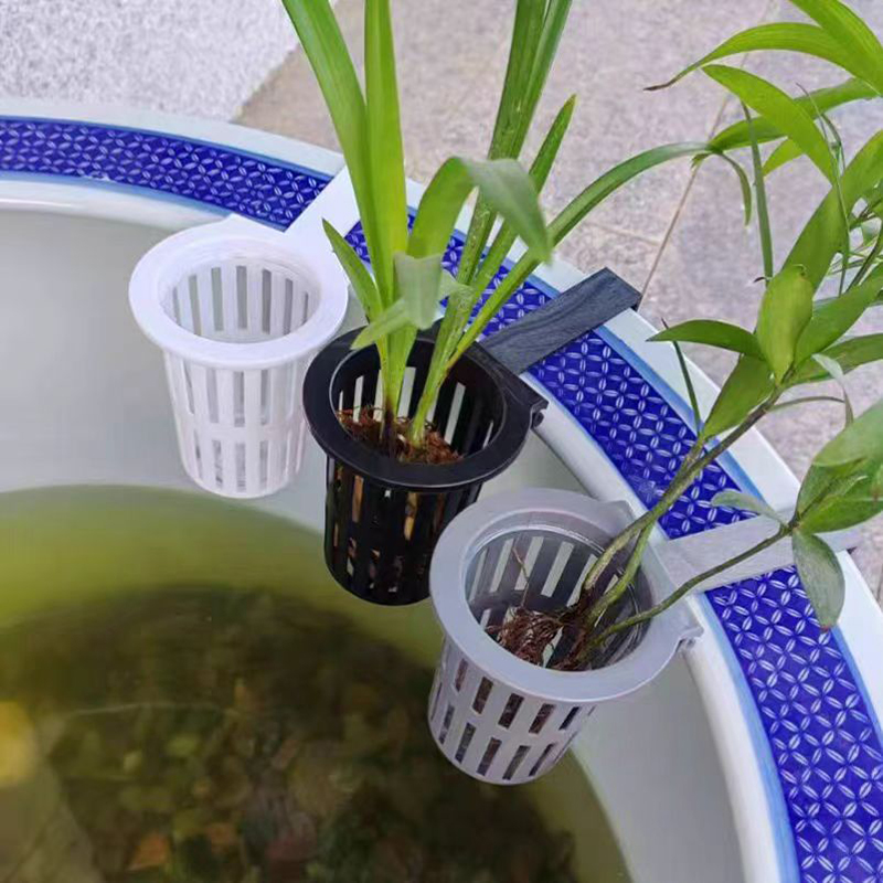 1/3Pcs Aquarium Plant Basket W - Aquarium Plant Live recension och pris