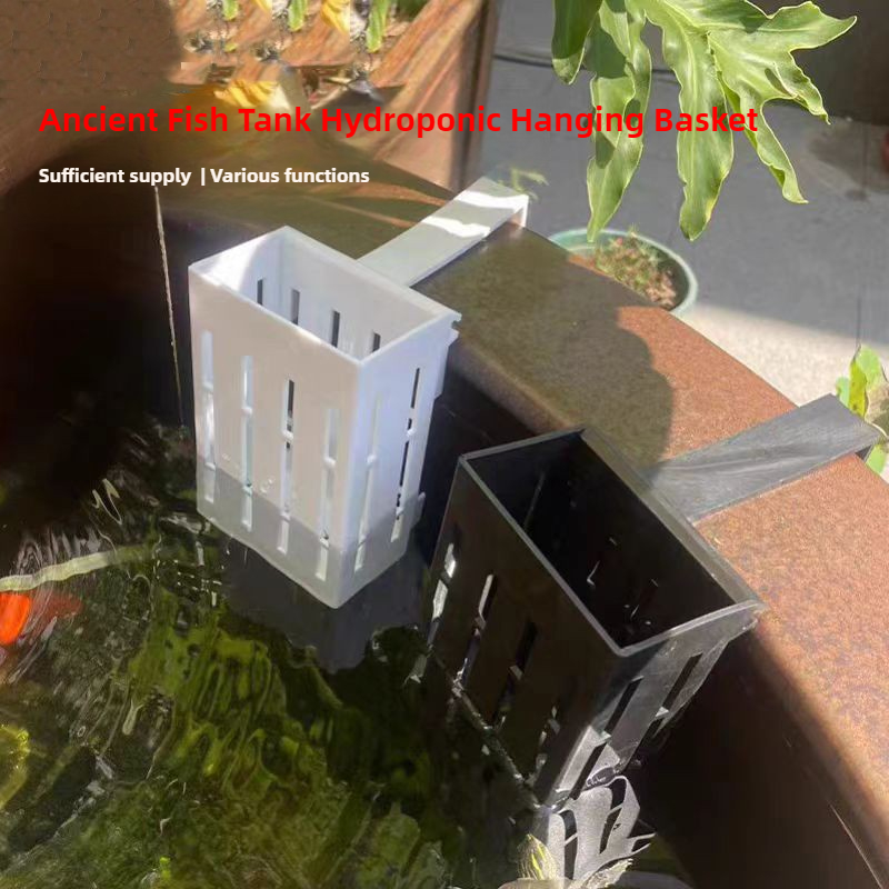 1/3Pcs Aquarium Plant Basket W - Aquarium Plant Live recension och pris