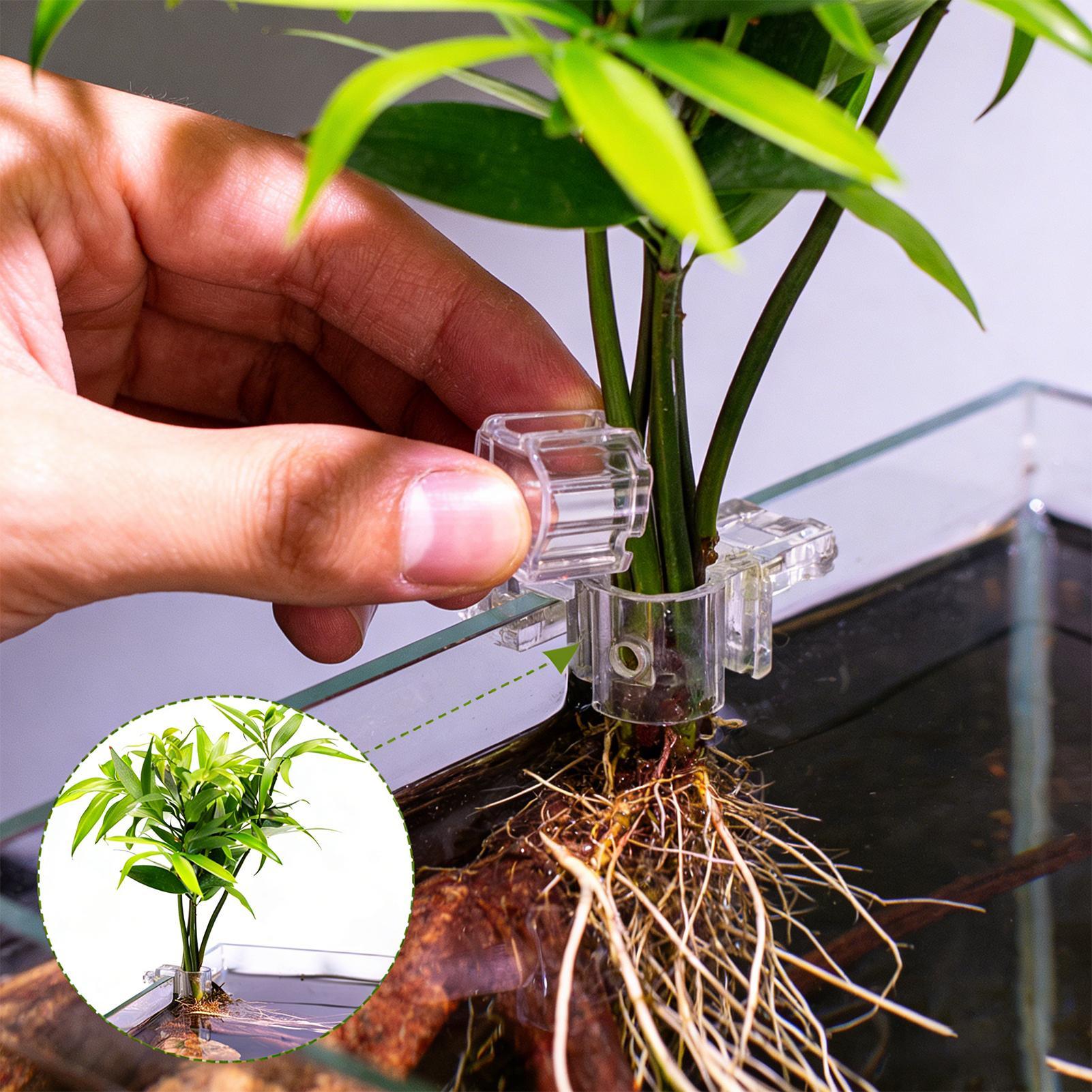 6pcs Aquarium Plant Holders Cl - Aquarium Plant Live recension och pris