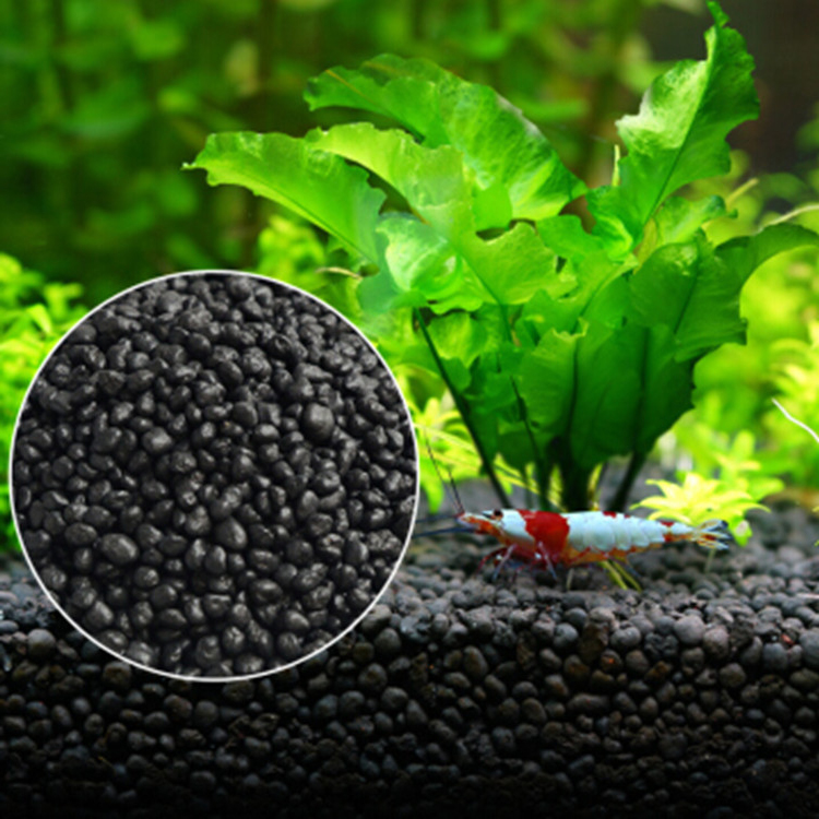 Aquarium Plant Seeds Soil Fish - Planted Aquarium With Fish recension och pris
