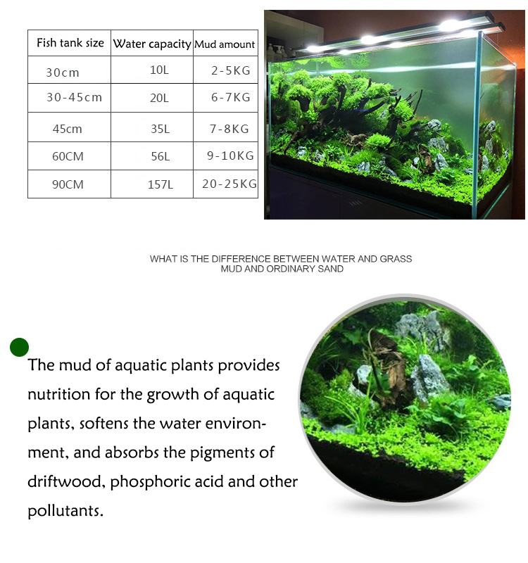 Aquarium Plant Seeds Soil Fish - Planted Aquarium With Fish recension och pris