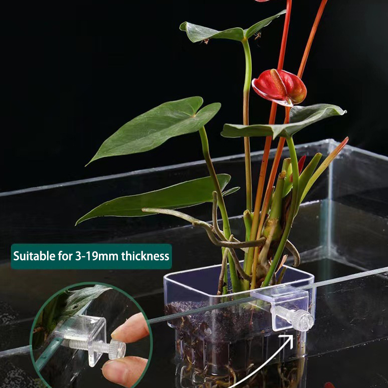 Multifunctional Fish Aquarium  - Planted Aquarium With Fish recension och pris