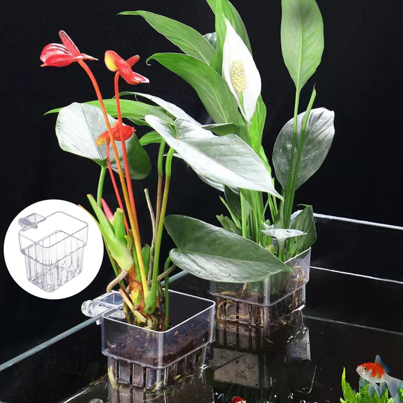 Multifunctional Fish Aquarium  - Planted Aquarium With Fish recension och pris