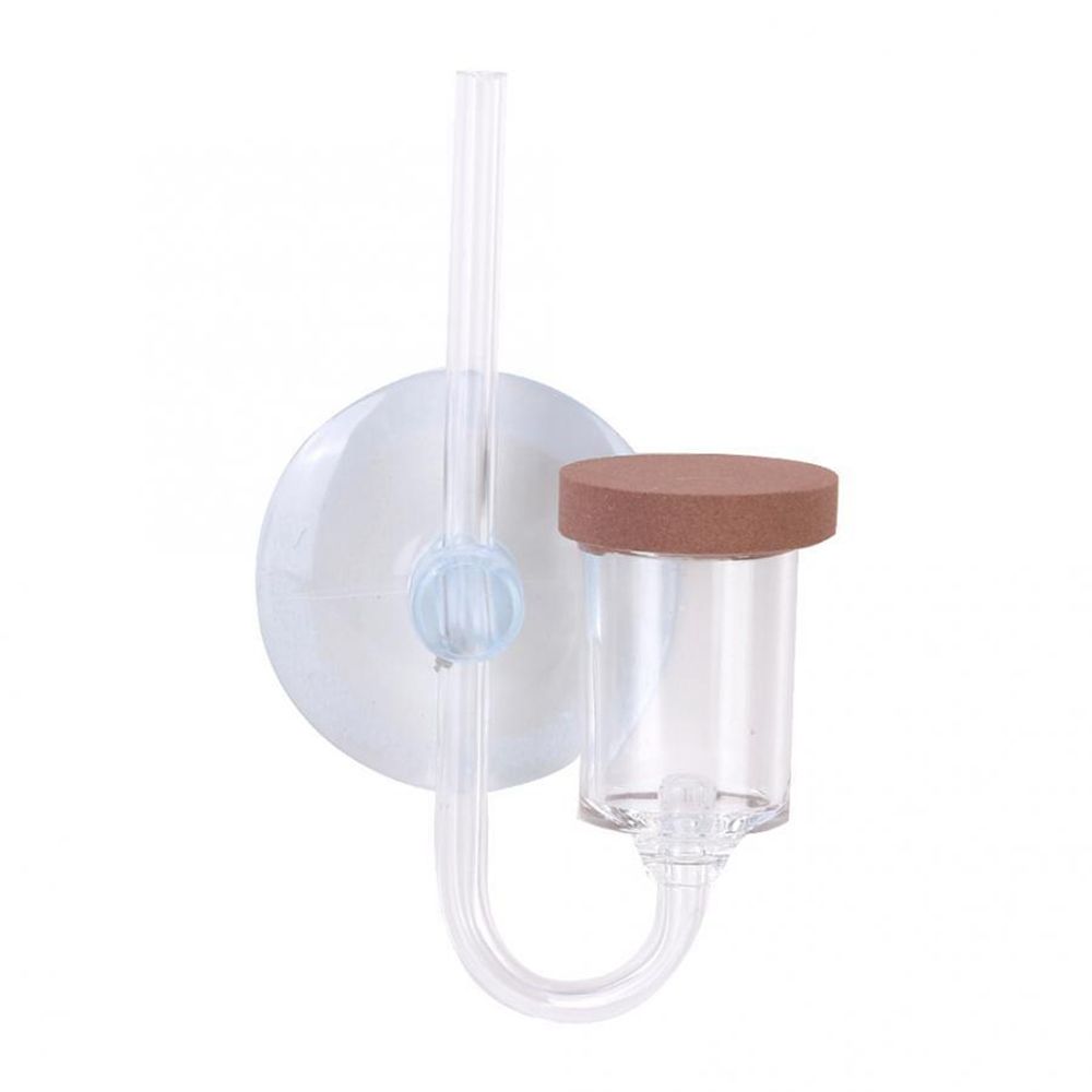 Acrylic Mini Fish Tank Live Pl - Aquarium Plant Live recension och pris