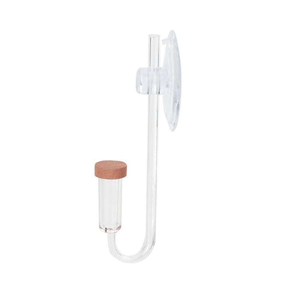 Acrylic Mini Fish Tank Live Pl - Aquarium Plant Live recension och pris