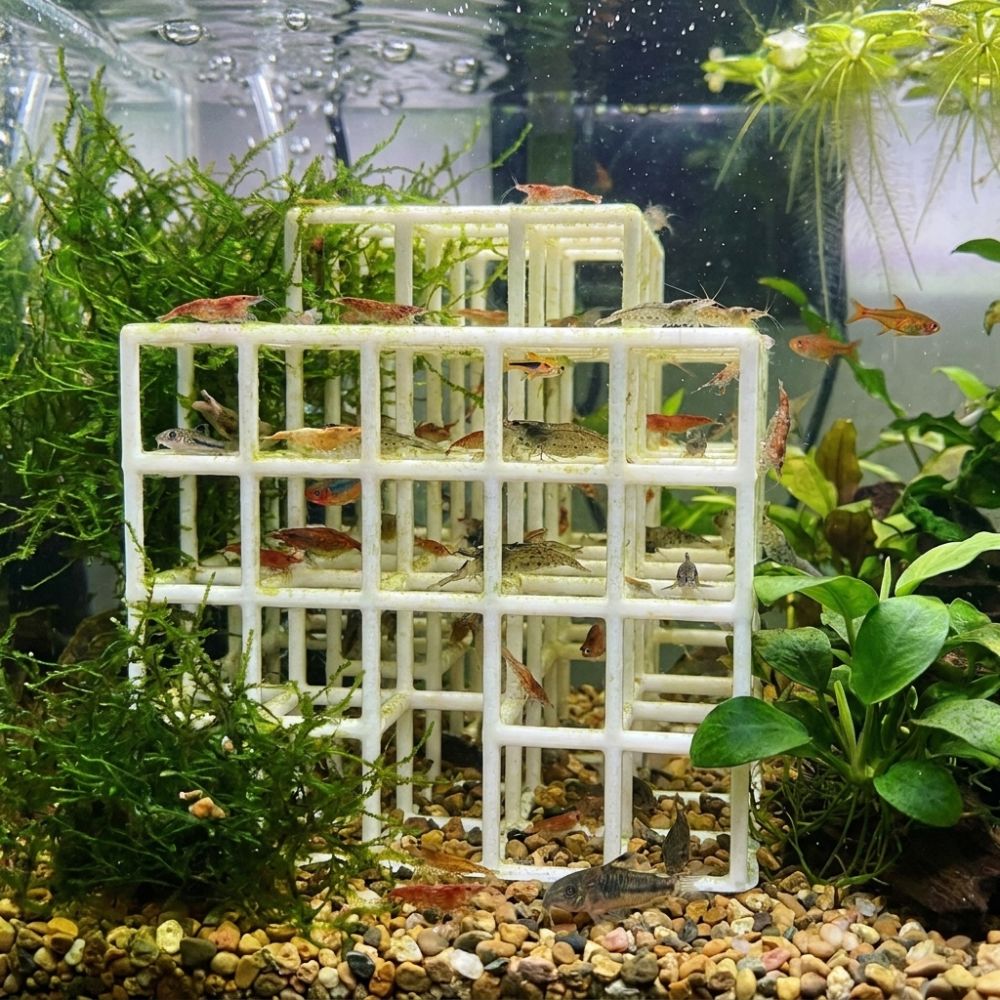 3D Printed Fish Shrimp Hideout - Aquarium Plant Live recension och pris