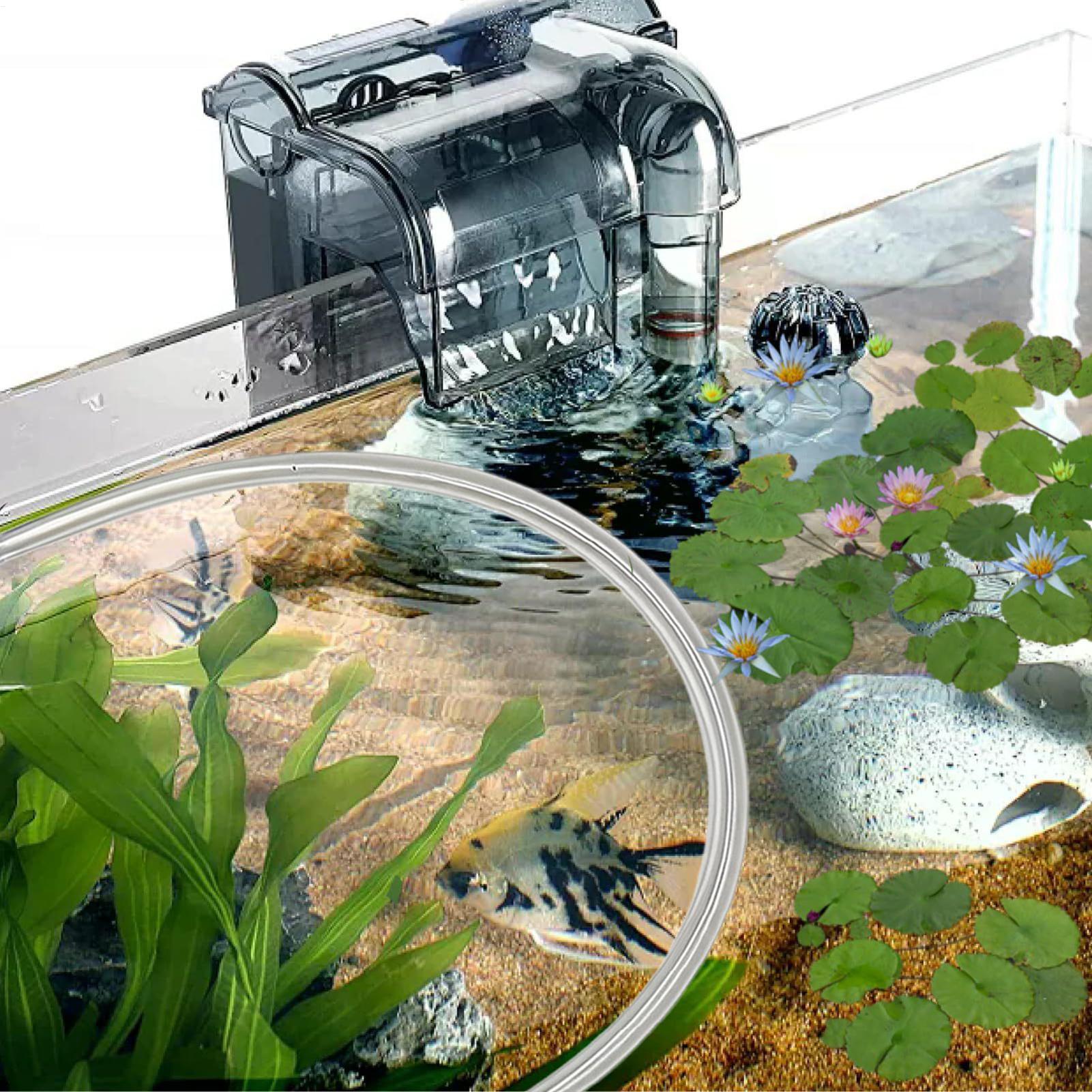 Aquarium Floating Plant Barrie - Planted Aquarium Tank Kit recension och pris