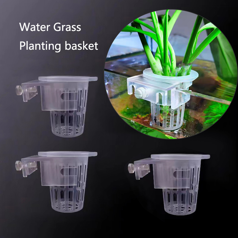Aquarium Planting Basket Hydro - Aquarium Plant Live recension och pris