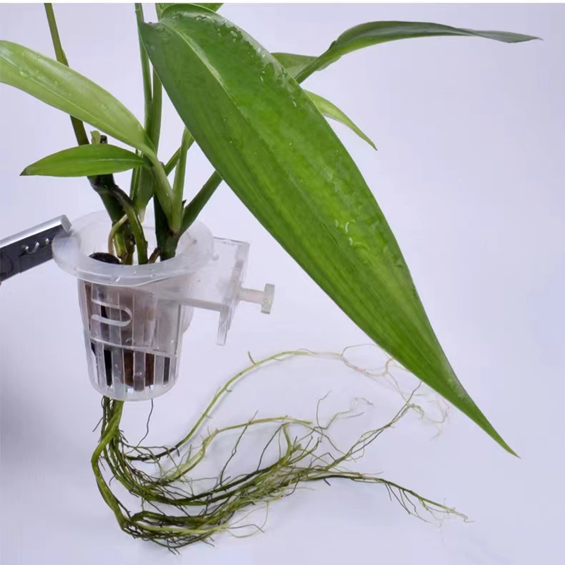 Aquarium Planting Basket Hydro - Aquarium Plant Live recension och pris