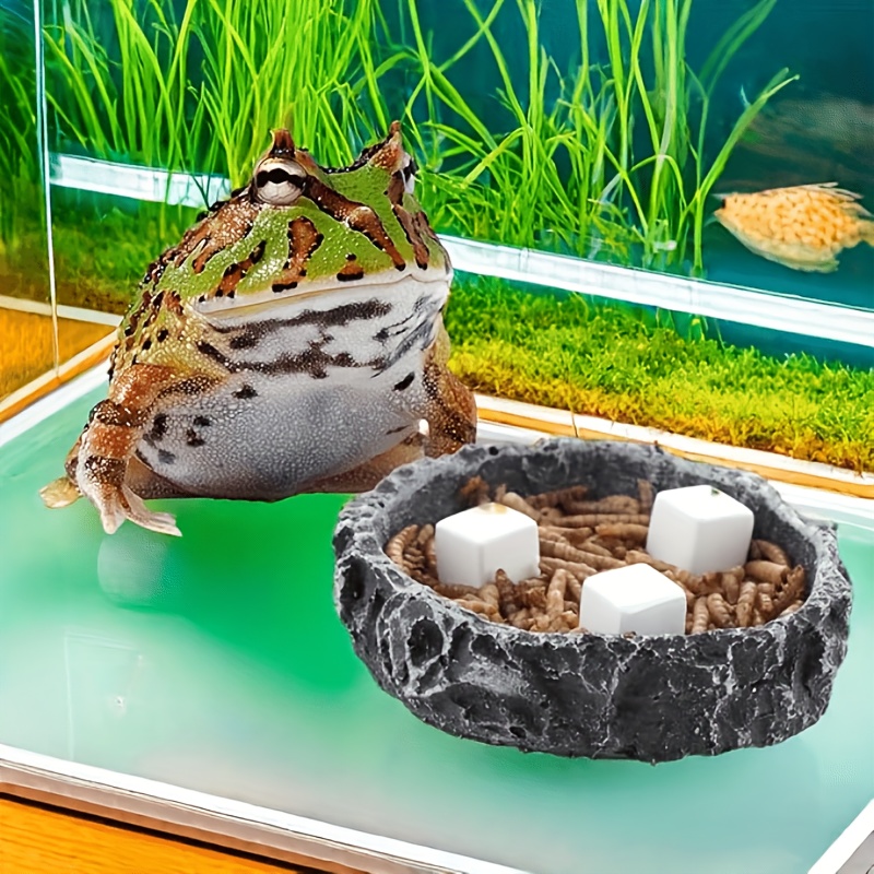 6 Pcs Fish Tank Calcium Block  - Aquarium Plant Live recension och pris